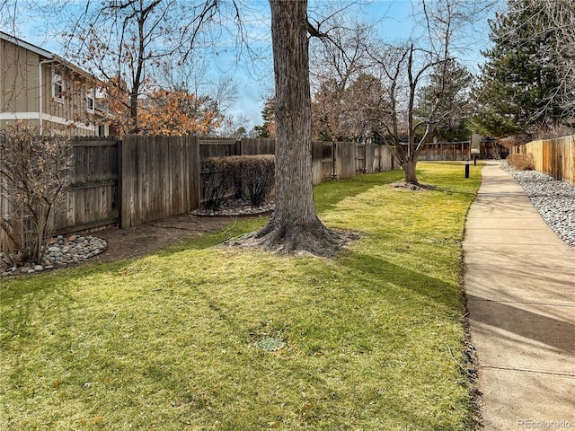 view of yard with a fenced backyard