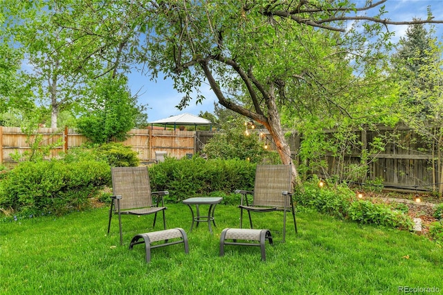 12355 E Arkansas Pl, Aurora, CO 80012 - view of yard