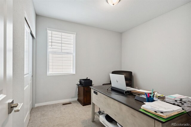 8346 Mount Kataka St, Littleton, CO 80125 - photo 23