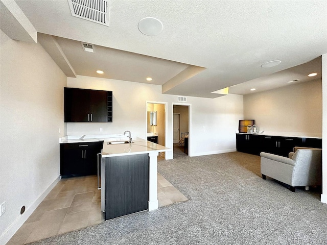 kitchen featuring light colored carpet, sink, and an island with sink