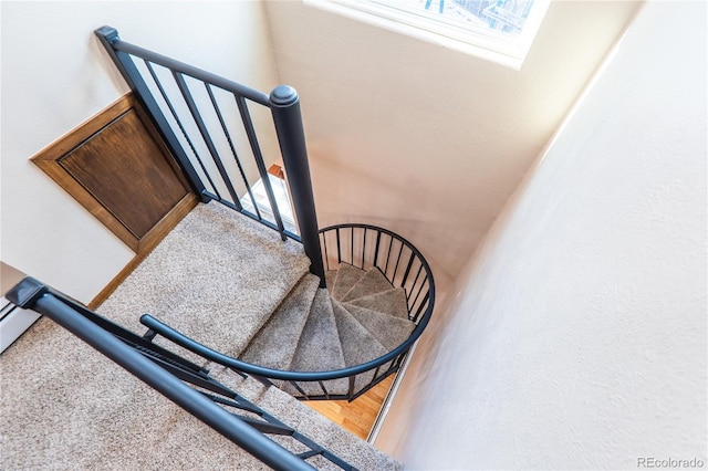 staircase with parquet flooring