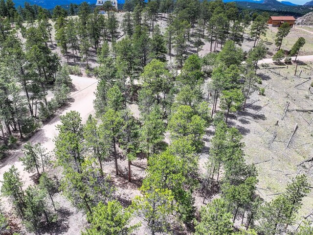 54 Holmes Gulch Rd, Bailey, CO 80421 - photo 3