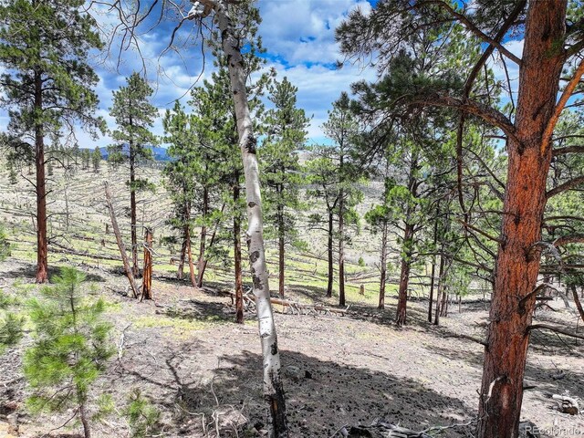 54 Holmes Gulch Rd, Bailey, CO 80421 - photo 4