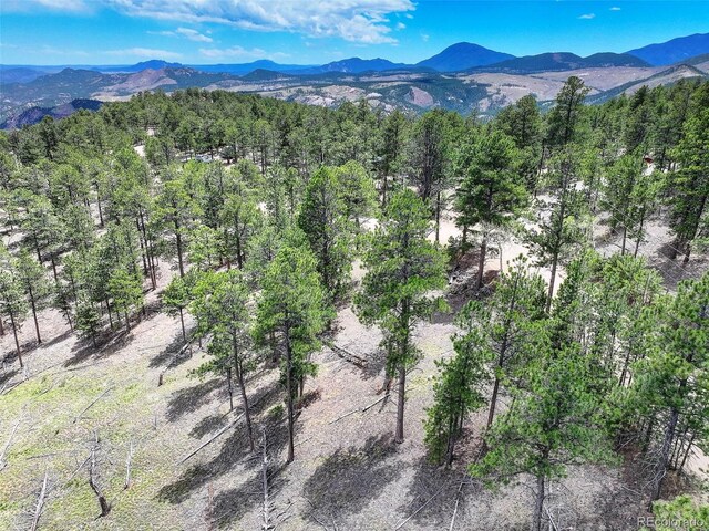 54 Holmes Gulch Rd, Bailey, CO 80421 - photo 6