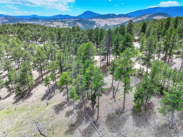 54 Holmes Gulch Rd, Bailey, CO 80421 - photo 7