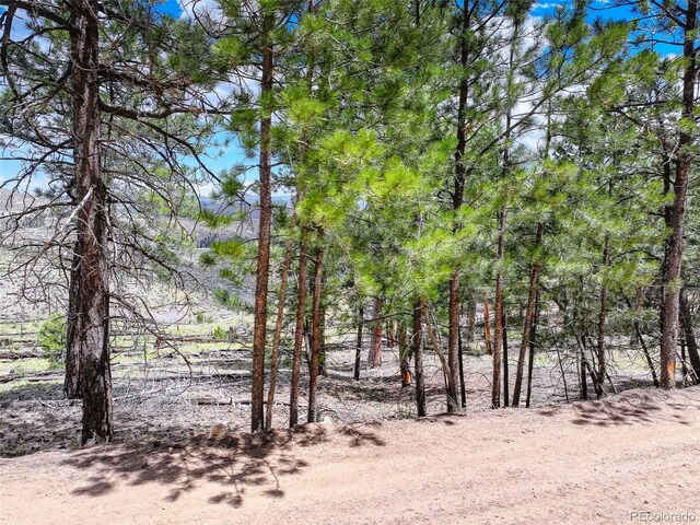 54 Holmes Gulch Rd, Bailey, CO 80421 - photo 8