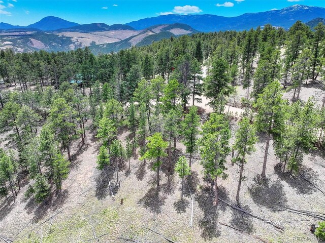 54 Holmes Gulch Rd, Bailey, CO 80421 - photo 9