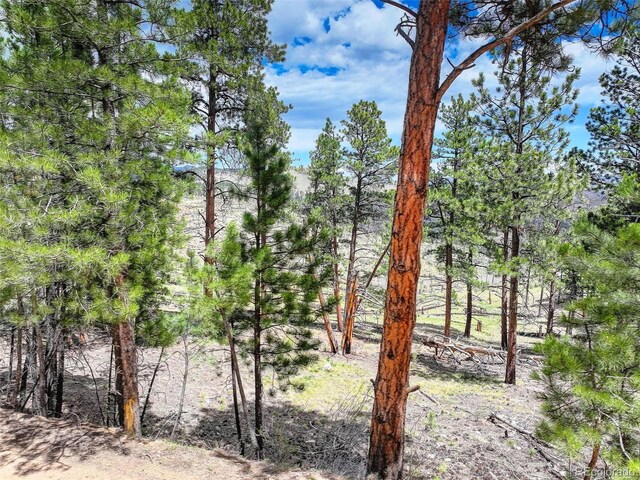 54 Holmes Gulch Rd, Bailey, CO 80421 - photo 10