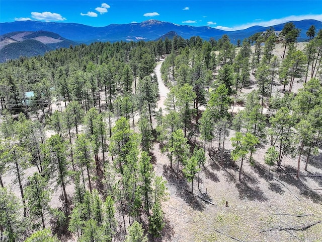 54 Holmes Gulch Rd, Bailey, CO 80421 - photo 11