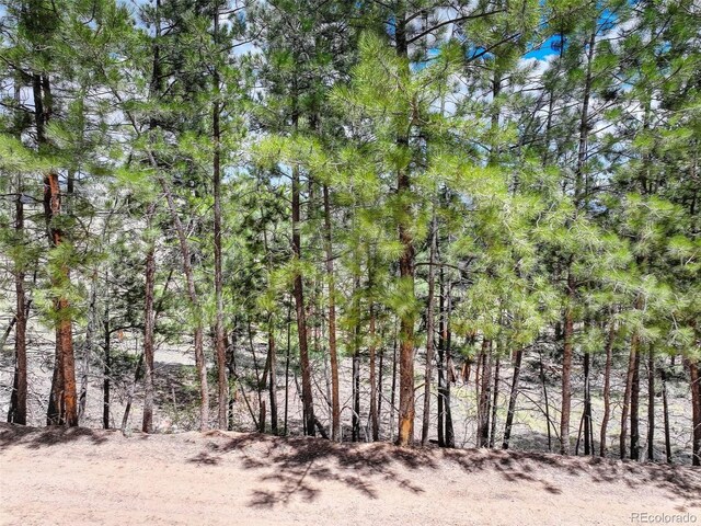 54 Holmes Gulch Rd, Bailey, CO 80421 - photo 12