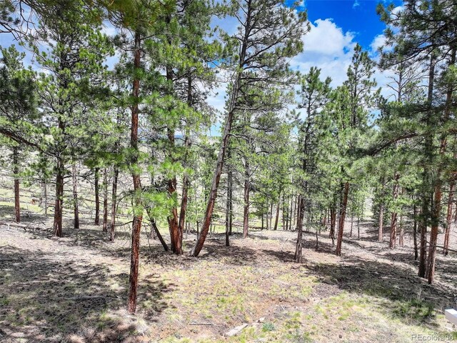 54 Holmes Gulch Rd, Bailey, CO 80421 - photo 13