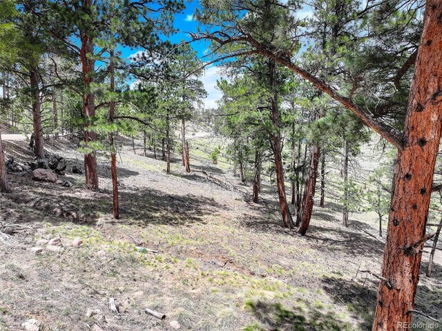 54 Holmes Gulch Rd, Bailey, CO 80421 - photo 14