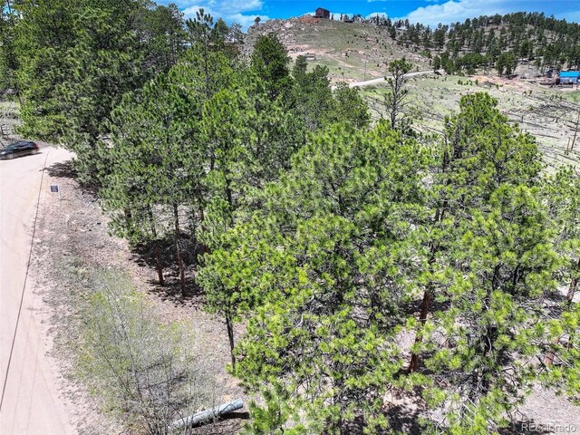 54 Holmes Gulch Rd, Bailey, CO 80421 - photo 15