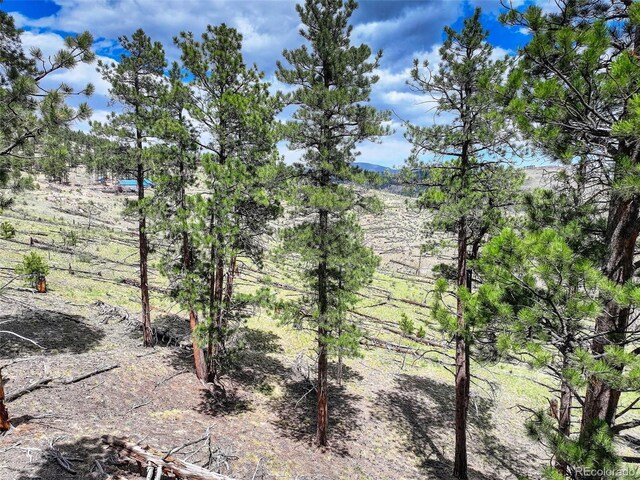 54 Holmes Gulch Rd, Bailey, CO 80421 - photo 16