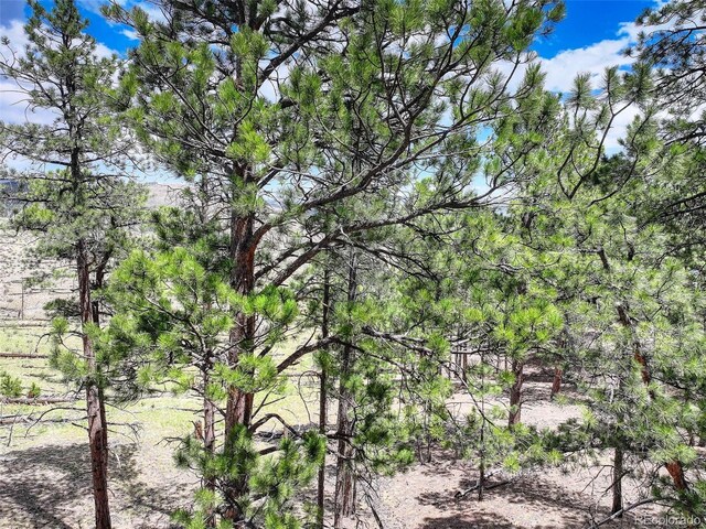 54 Holmes Gulch Rd, Bailey, CO 80421 - photo 17