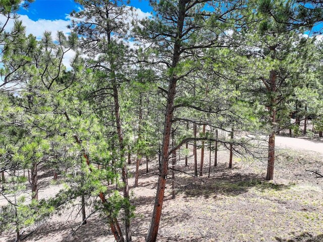 54 Holmes Gulch Rd, Bailey, CO 80421 - photo 18