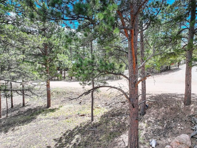 54 Holmes Gulch Rd, Bailey, CO 80421 - photo 19