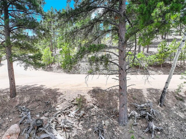 54 Holmes Gulch Rd, Bailey, CO 80421 - photo 20