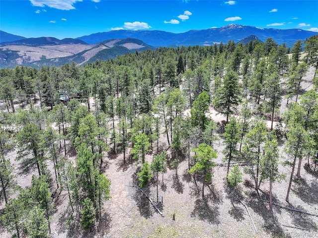 54 Holmes Gulch Rd, Bailey, CO 80421 - photo 21