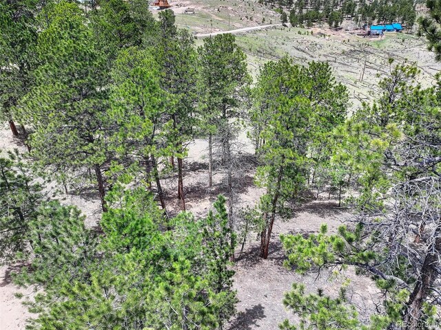 54 Holmes Gulch Rd, Bailey, CO 80421 - photo 22
