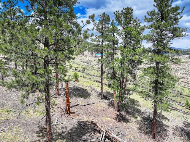 54 Holmes Gulch Rd, Bailey, CO 80421 - photo 24