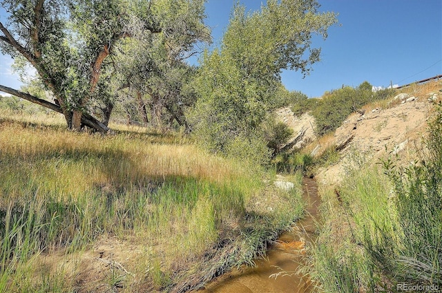 11355 County Road 251-1, Salida CO, 81201 land for sale