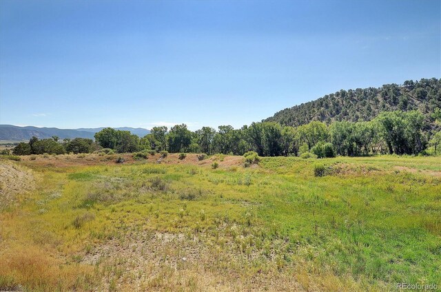 11355 County Road 251-1, Salida, CO 81201 - photo 6