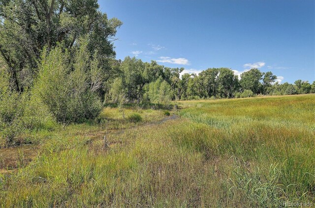 11355 County Road 251-1, Salida, CO 81201 - photo 15