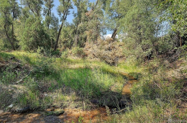 11355 County Road 251-1, Salida, CO 81201 - photo 16