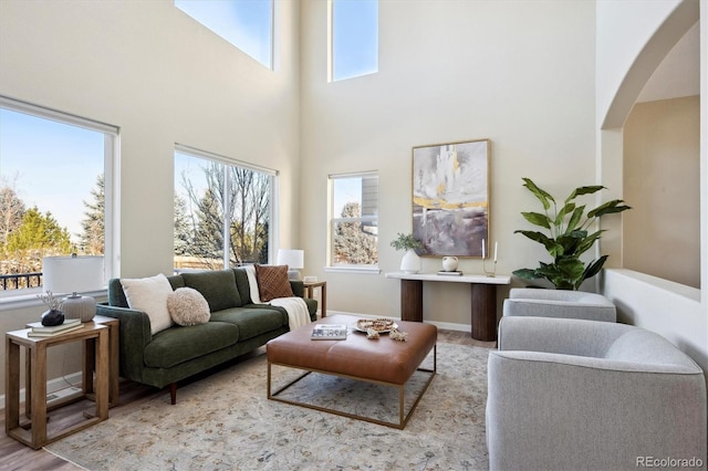 interior space featuring a towering ceiling, light hardwood / wood-style flooring, and a wealth of natural light