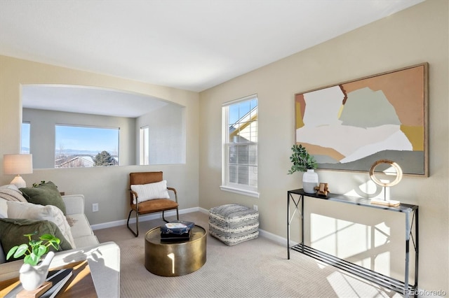 sitting room with plenty of natural light and carpet flooring