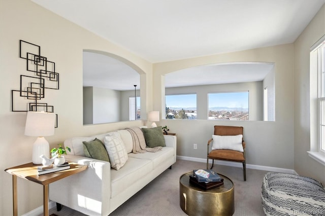 living room with carpet floors