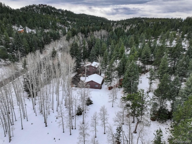 view of snowy aerial view