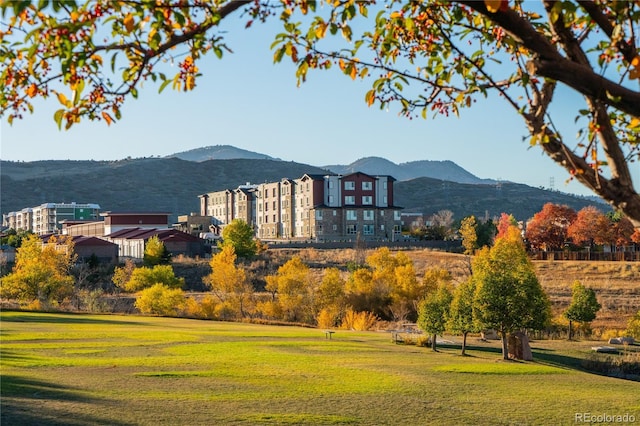 view of community with a yard and a mountain view