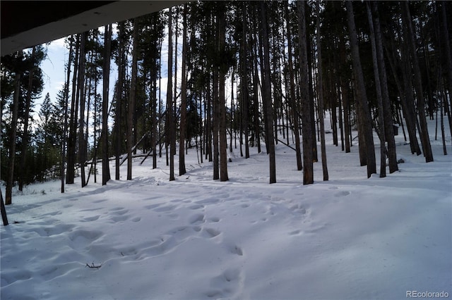 view of yard covered in snow