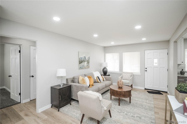 living room with light hardwood / wood-style flooring