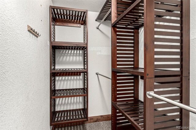 1155 Black Hawk Rd, Eaton, CO 80615 - view of spacious closet