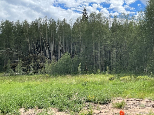 6325 Remington Rd, Como CO, 80432 land for sale