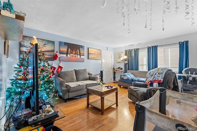 living room with hardwood / wood-style flooring