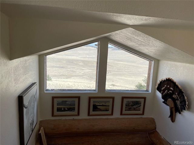 4981 Bird Way, Fairplay, CO 80482