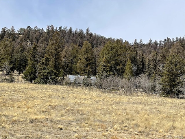 4981 Bird Way, Fairplay, CO 80482