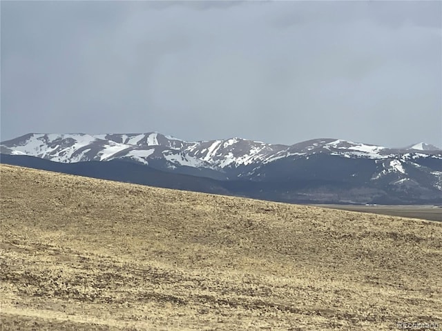 4981 Bird Way, Fairplay, CO 80482