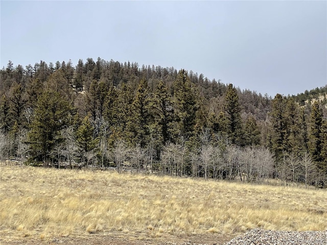 4981 Bird Way, Fairplay, CO 80482