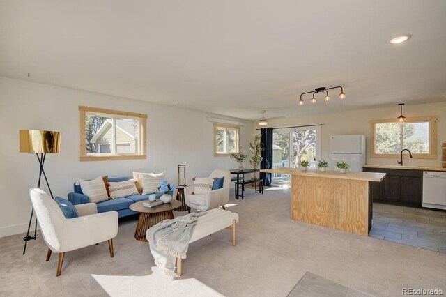31252 County Road 384a, Buena Vista, CO 81211 - living area featuring healthy amount of natural light and light carpet