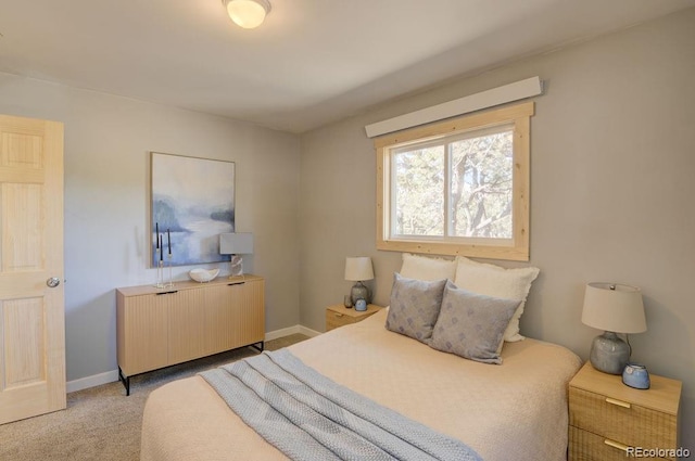 31252 County Road 384a, Buena Vista, CO 81211 - bedroom featuring radiator, baseboards, and light carpet