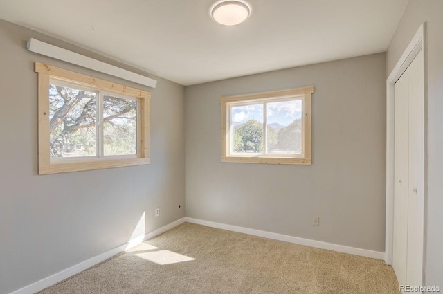31252 County Road 384a, Buena Vista, CO 81211 - spare room featuring healthy amount of natural light, carpet, and baseboards