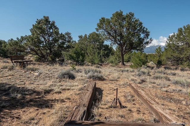 31252 County Road 384a, Buena Vista, CO 81211 - view of nature