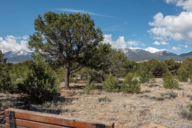 31252 County Road 384a, Buena Vista, CO 81211 - view of mountain backdrop