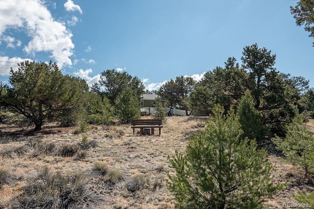 31252 County Road 384a, Buena Vista, CO 81211 - view of nature