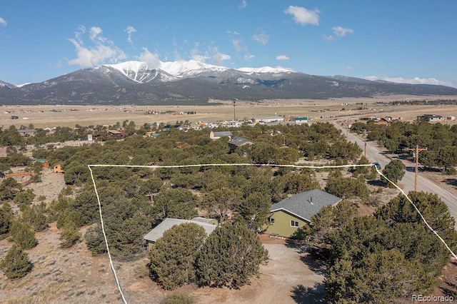 31252 County Road 384a, Buena Vista, CO 81211 - view of mountain backdrop
